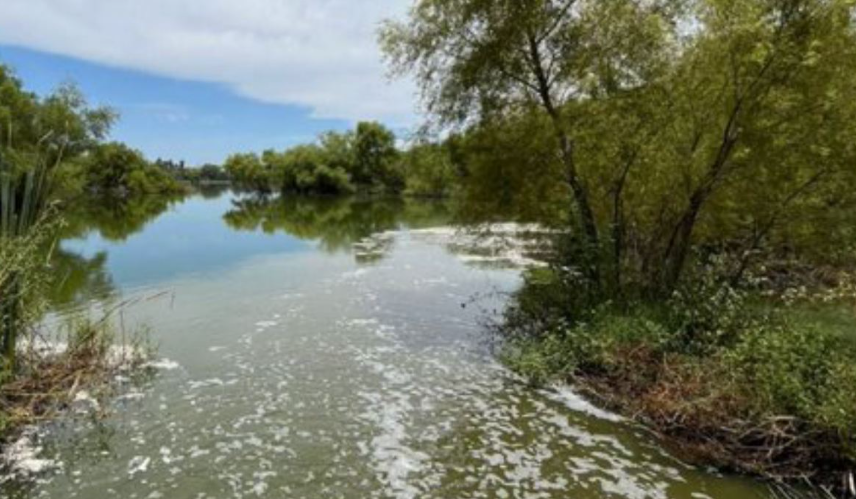 Fuga de aguas negras contamina presa en NL